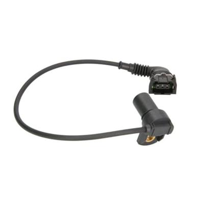 Nokkenassensor SS11211