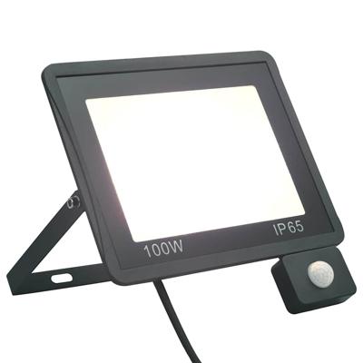 VidaXL Spotlight met sensor led 100 w koudwit VidaXL Spotlight met sensor led 100 w koudwit