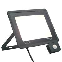 VidaXL Spotlight met sensor led 100 w koudwit - thumbnail