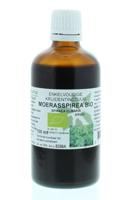 Cruydhof Spiraea ulmaria herb / moerasspirea tinctuur bio 100 Milliliter - thumbnail