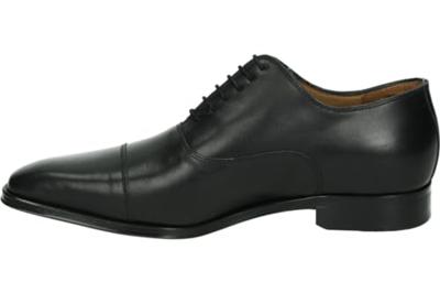 Van Bommel RAFFA 02.02 - alle