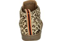 Develab 44337 - alle - thumbnail