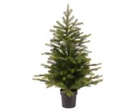 Grandis mini boom d51h75 cm groen Everlands - Everlands - thumbnail