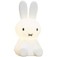 Mr Maria Nijntje lamp (80cm) - thumbnail