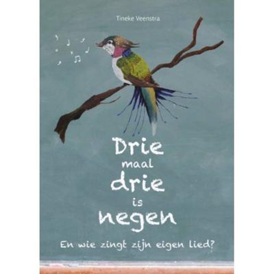 Drie maal drie is negen (Hardback)