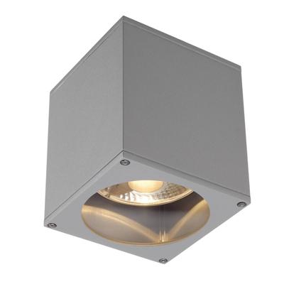 Plafondlamp BIG THEO OUT zilvergrijs 1xGU10