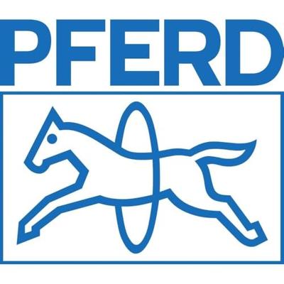 PFERD TOOLS 11235307 Werkplaatsvijl halfrond-spits kap 2 inclusief ergonomisch vijlheft Lengte 300 mm 1 stuk(s)