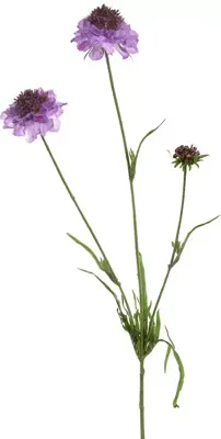 Pure Royal kunsttak scabiosa 66cm paars