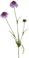 Pure Royal kunsttak scabiosa 66cm paars - thumbnail