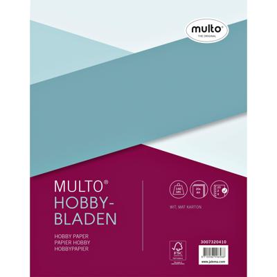 Interieur Multo hobbypapier A4 23R 20 vel | 10 stuks