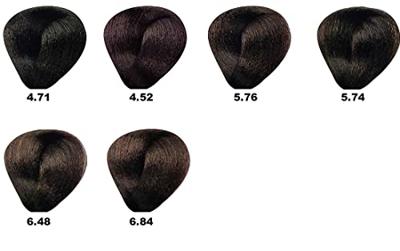 BES Hi-Fi Hair Color 6.84 100ml BES Hi-Fi Hair Color 6.84 100ml