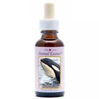 Animal Essences Orca 30 Milliliter - thumbnail