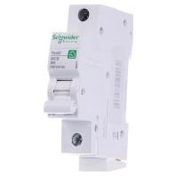 Schneider Electric R9F23106 Zekeringautomaat 1-fasig 6 A 230 V - thumbnail