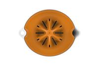 Fiskars 1016125 Functionele vorm citruspers - thumbnail
