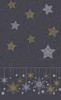 Duni Tafellaken Snowstars Black 138x220 - thumbnail