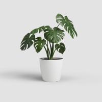 Pot - ARTEVASI - SAN REMO - 42m - Wit - thumbnail