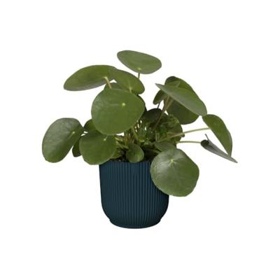 Elho Bloempot Vibes Fold Diepblauw Ø18cm - thumbnail