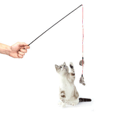 Nobleza Kattenhengel - Veren aan touw Nobleza Kattenhengel - Veren aan touw