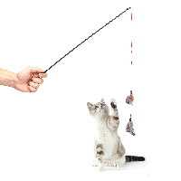 Nobleza Kattenhengel - Veren aan touw - thumbnail