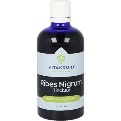 Vitakruid Ribes Nigrum Zwarte bes tinctuur 1:10 100 Milliliter