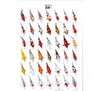 Koiposter nr.3 a4 gelamineerd Aquadistri - Aquadistri - thumbnail