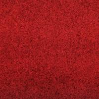 Deurmat Rood en Zwart 120 x 300 cm Polypropyleen en vinyl - thumbnail