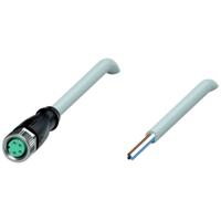 Pepperl+Fuchs 240799-100018 Sensor/actuator connector, geassembleerd Aantal polen (sensoren): 4 1 m 1 stuk(s) - thumbnail