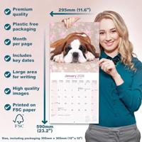 Boxer Puppies Calendar 2026 Square Dog Puppy Breed Wall Calendar - 16 Month - thumbnail