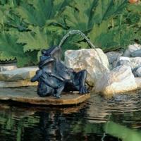 Spuitfiguur kikkers Ubbink - Ubbink - thumbnail