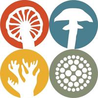 Undergrove - thumbnail