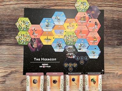 Apiary Expanding the Hive