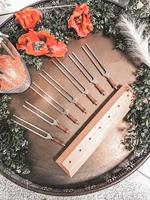 Meinl TTF-SET-CHA-7 Planetary Tuned Therapy Series chakra set van 7 stemvorken - thumbnail