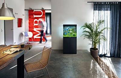 Juwel aquarium Lido 120 LED met filter zwart Juwel Gebr. de Boon - Gebr de boon Juwel aquarium Lido 120 LED met filter zwart Juwel Gebr. de Boon - Gebr de boon