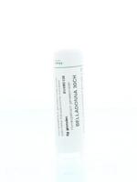 Homeoden Heel Belladonna 30CH 6 Gram - thumbnail