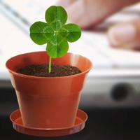 Doosje Geluk met Klavertjevier - thumbnail