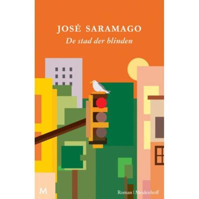 De stad der blinden (Paperback)