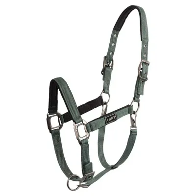 Anky ATH22001 Poetshalster groen maat:cob