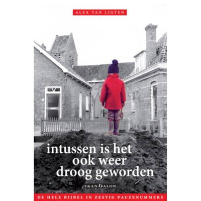 Intussen is het ook weer droog geworden (Paperback)