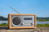 Imperial DABMAN 30 Mobiele DAB+ / FM-radio Hout - 22-129-00 - thumbnail