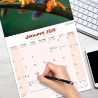 Kikker Kalender 2026 - thumbnail