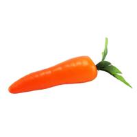 Simulatie wortel model Hotel decoratie restaurant venster sample display - thumbnail