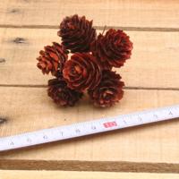 Bonbon doosjes - Chocolade doosje - Deko kerst dennenappels naturel - 1 stuks - thumbnail