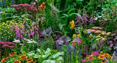 Alexsar Art Tuinschilderij bloementuin 130x70cm