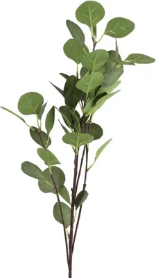 Countryfield kunsttak eucalyptus 90cm groen