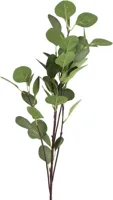 Countryfield kunsttak eucalyptus 90cm groen - thumbnail