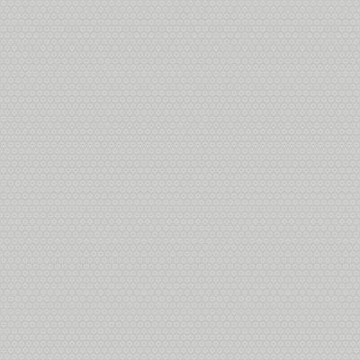 Dutch Wallcoverings Morgongava - Stella Grey - Grijs