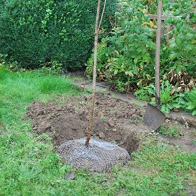 Siena Garden Woelmuiskorf 1 stuk(s)