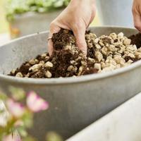 Compo bio granuplant 10 liter - thumbnail