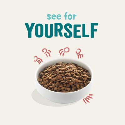 Edgard & Cooper Hond Senior Kip & Zalm 7kg