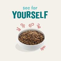 Edgard & Cooper Hond Senior Kip & Zalm 7kg - thumbnail